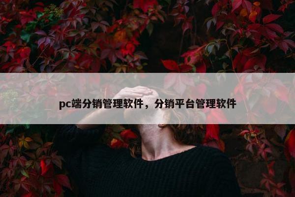 pc端分销管理软件，分销平台管理软件