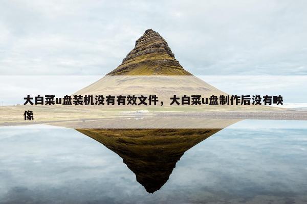 大白菜u盘装机没有有效文件，大白菜u盘制作后没有映像