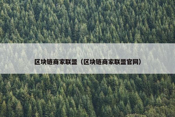 区块链商家联盟（区块链商家联盟官网）