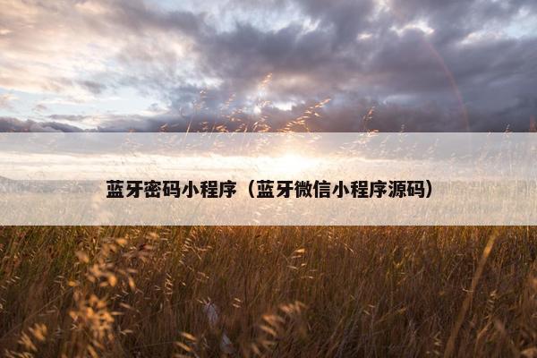蓝牙密码小程序（蓝牙微信小程序源码）
