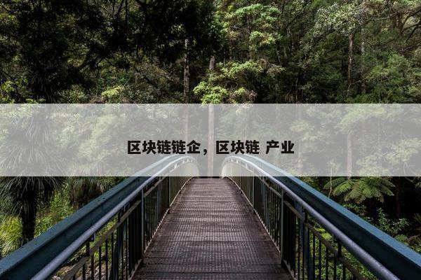 区块链链企，区块链 产业