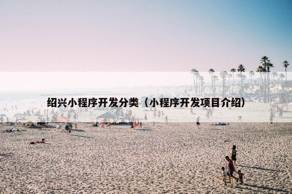 绍兴小程序开发分类（小程序开发项目介绍）