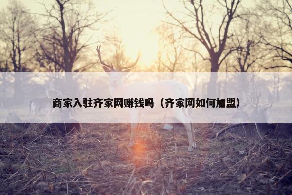 商家入驻齐家网赚钱吗（齐家网如何加盟）