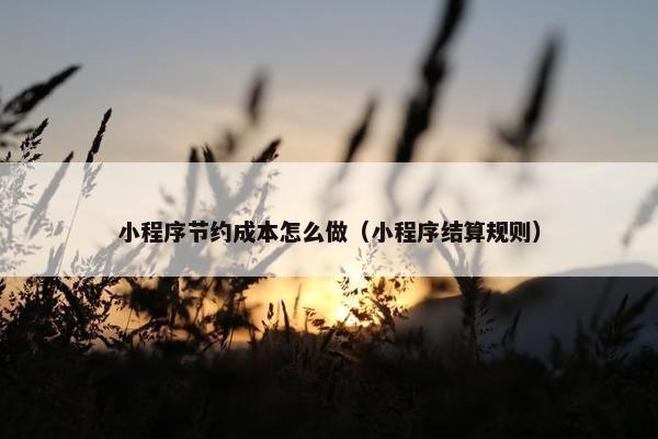 小程序节约成本怎么做（小程序结算规则）