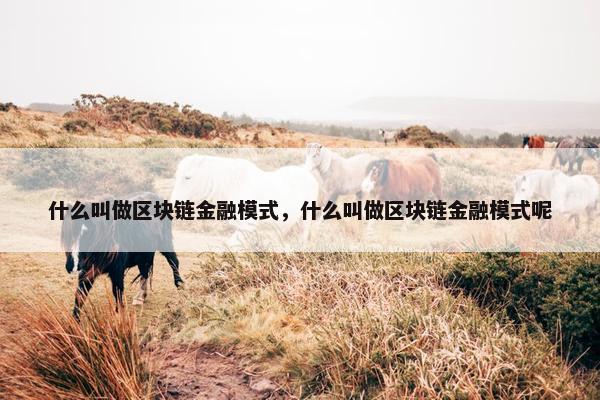 什么叫做区块链金融模式，什么叫做区块链金融模式呢