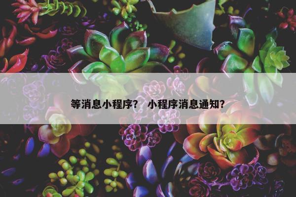 等消息小程序？ 小程序消息通知？