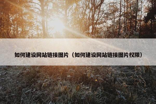 如何建设网站链接图片（如何建设网站链接图片权限）