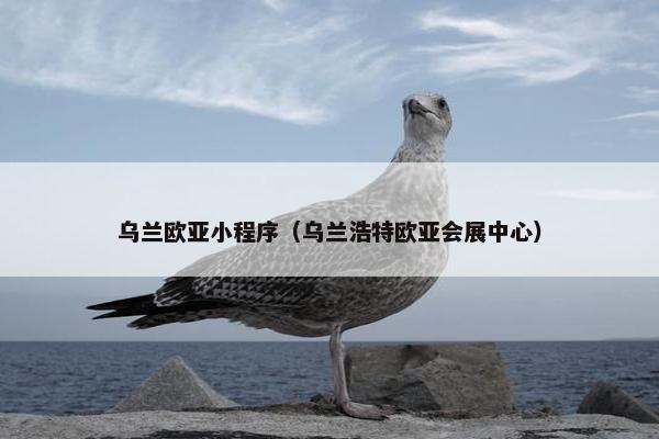 乌兰欧亚小程序（乌兰浩特欧亚会展中心）
