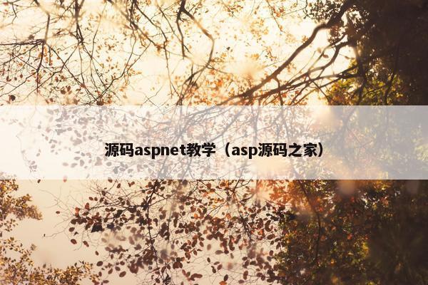 源码aspnet教学（asp源码之家）