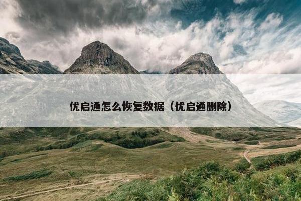 优启通怎么恢复数据（优启通删除）