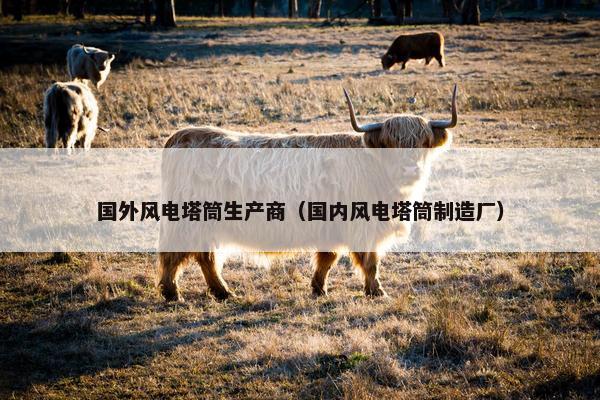 国外风电塔筒生产商（国内风电塔筒制造厂）