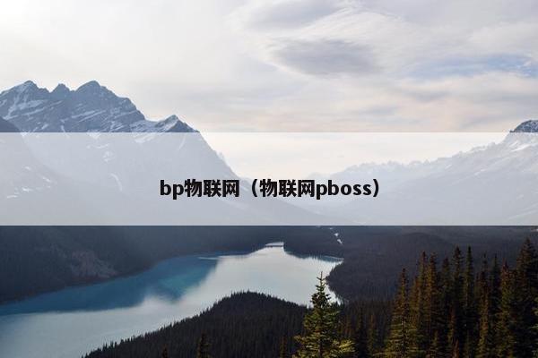 bp物联网（物联网pboss）