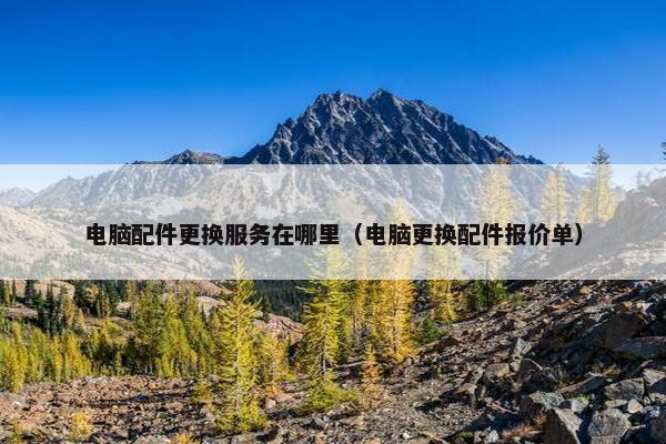 电脑配件更换服务在哪里（电脑更换配件报价单）