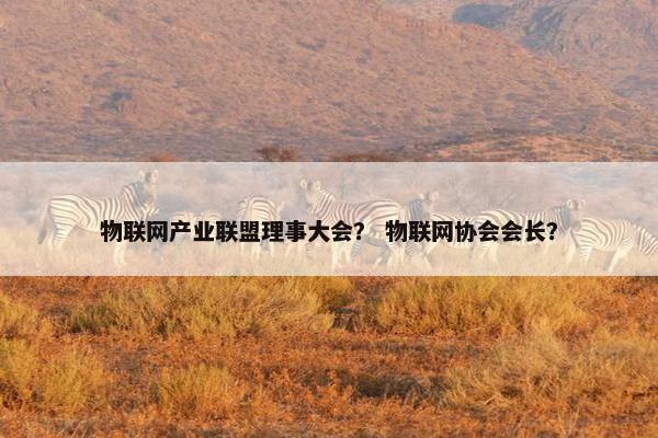 物联网产业联盟理事大会？ 物联网协会会长？