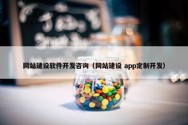 网站建设软件开发咨询（网站建设 app定制开发）