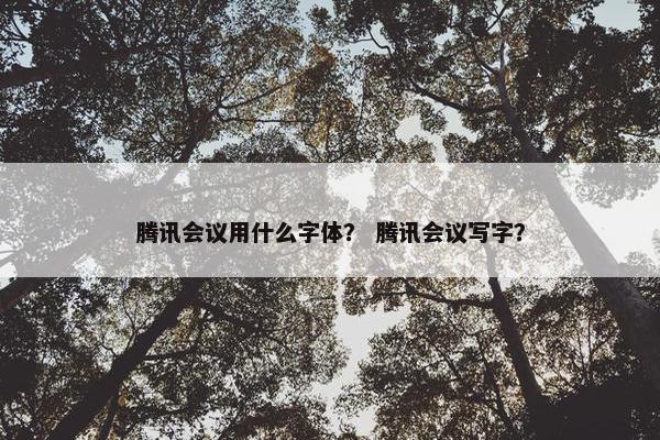 腾讯会议用什么字体？ 腾讯会议写字？