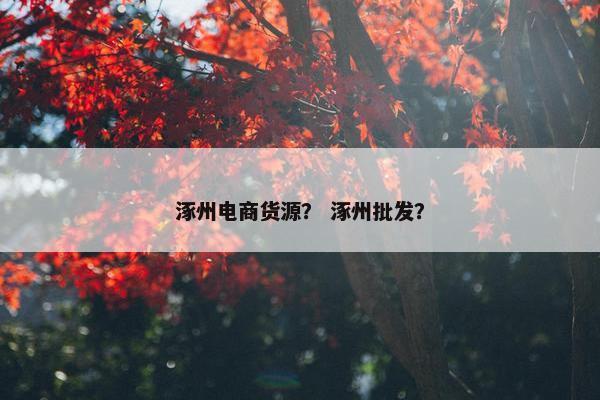 涿州电商货源？ 涿州批发？