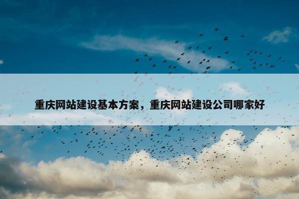 重庆网站建设基本方案，重庆网站建设公司哪家好