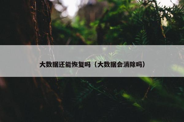 大数据还能恢复吗（大数据会消除吗）