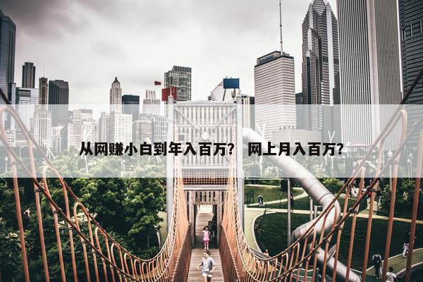 从网赚小白到年入百万？ 网上月入百万？