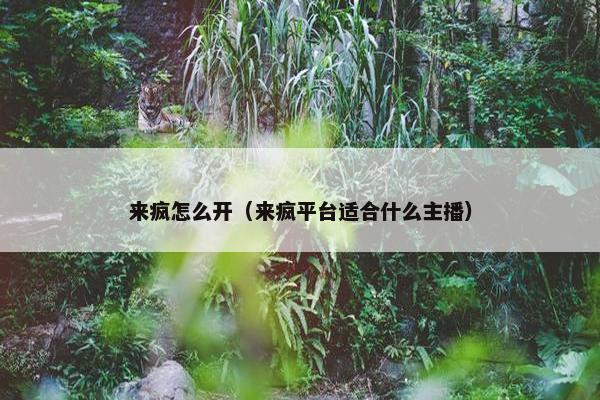 来疯怎么开（来疯平台适合什么主播）