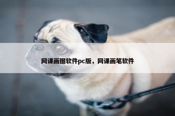 网课画图软件pc版，网课画笔软件