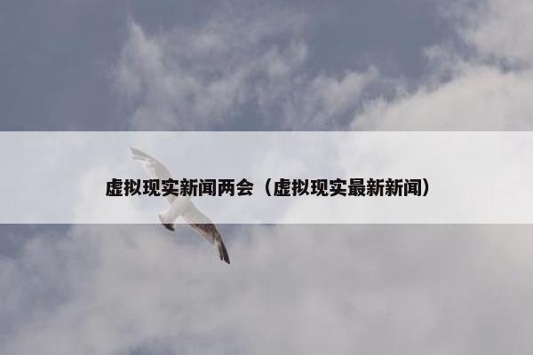 虚拟现实新闻两会（虚拟现实最新新闻）