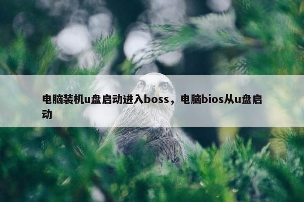 电脑装机u盘启动进入boss，电脑bios从u盘启动