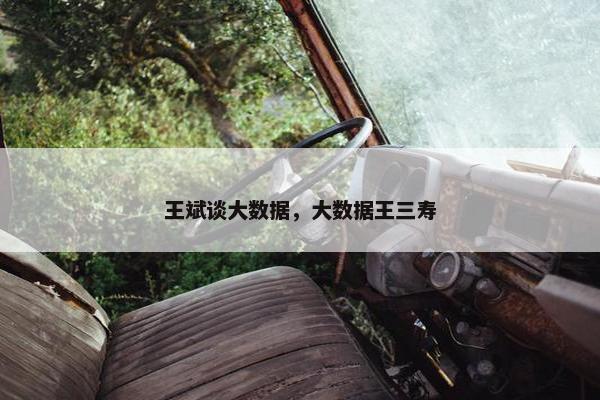 王斌谈大数据，大数据王三寿