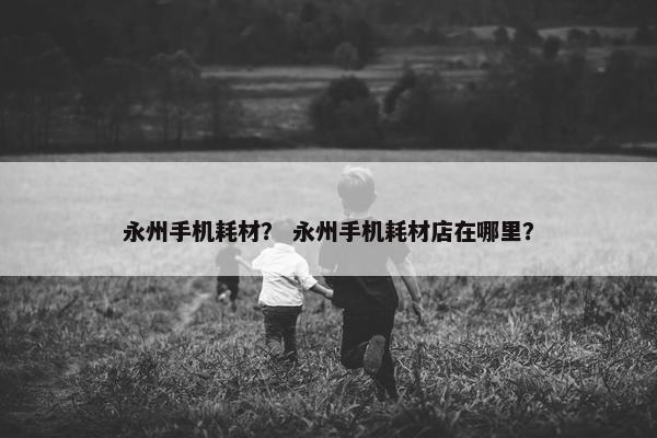 永州手机耗材？ 永州手机耗材店在哪里？