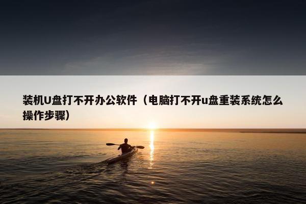 装机U盘打不开办公软件（电脑打不开u盘重装系统怎么操作步骤）