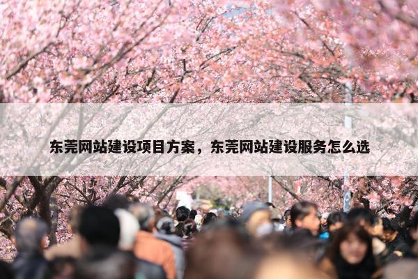 东莞网站建设项目方案，东莞网站建设服务怎么选