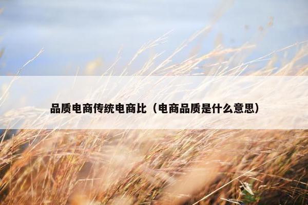 品质电商传统电商比（电商品质是什么意思）
