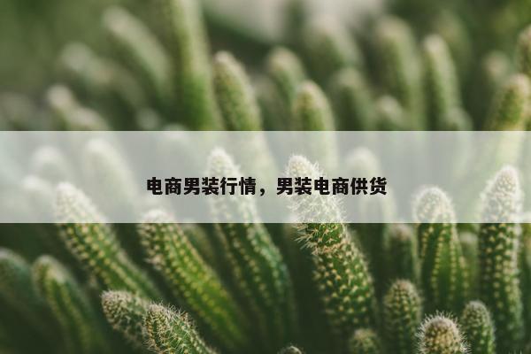 电商男装行情，男装电商供货