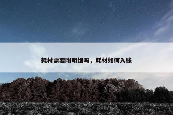 耗材需要附明细吗，耗材如何入账