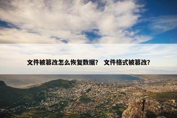文件被篡改怎么恢复数据？ 文件格式被篡改？