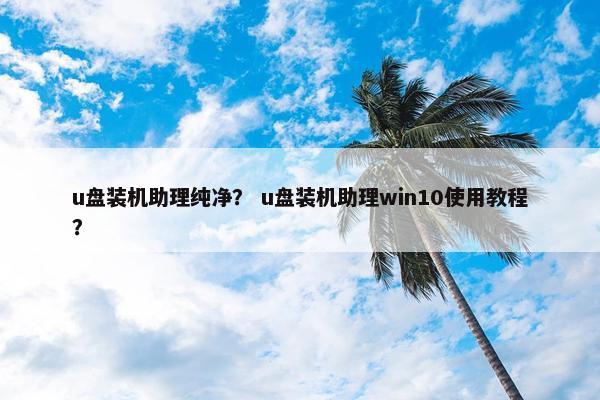 u盘装机助理纯净？ u盘装机助理win10使用教程？