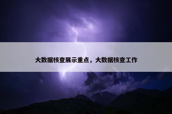 大数据核查展示重点，大数据核查工作