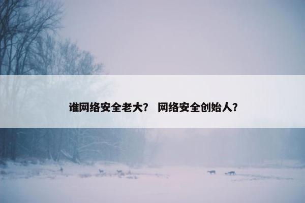 谁网络安全老大？ 网络安全创始人？