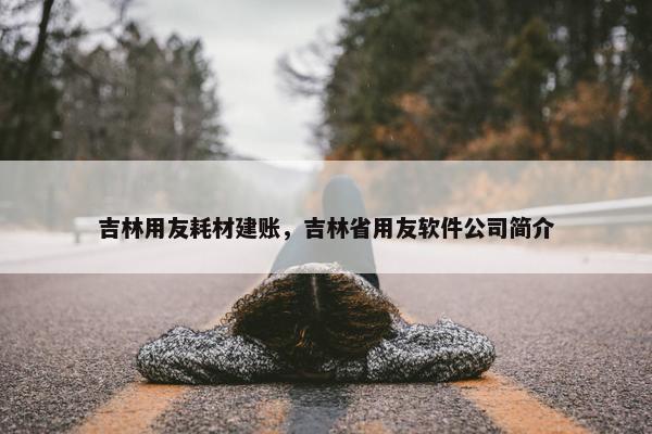 吉林用友耗材建账，吉林省用友软件公司简介