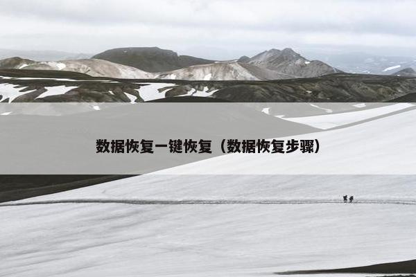 数据恢复一键恢复（数据恢复步骤）