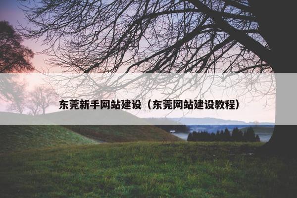 东莞新手网站建设（东莞网站建设教程）