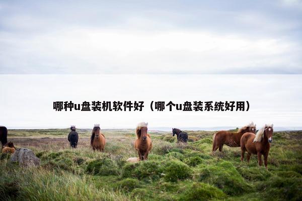 哪种u盘装机软件好（哪个u盘装系统好用）