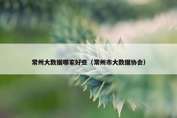 常州大数据哪家好些（常州市大数据协会）