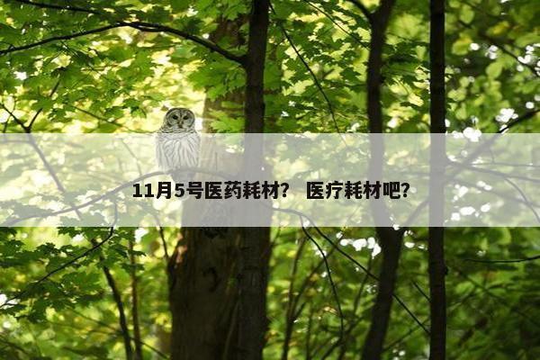 11月5号医药耗材？ 医疗耗材吧？