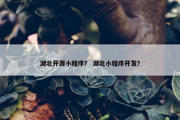 湖北开源小程序？ 湖北小程序开发？