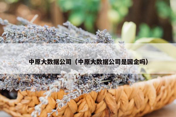 中原大数据公司（中原大数据公司是国企吗）