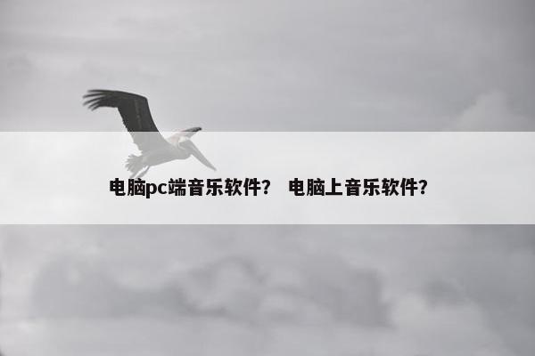 电脑pc端音乐软件？ 电脑上音乐软件？