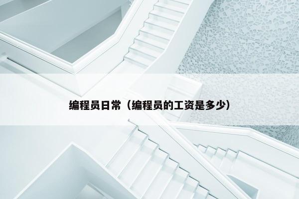 编程员日常（编程员的工资是多少）