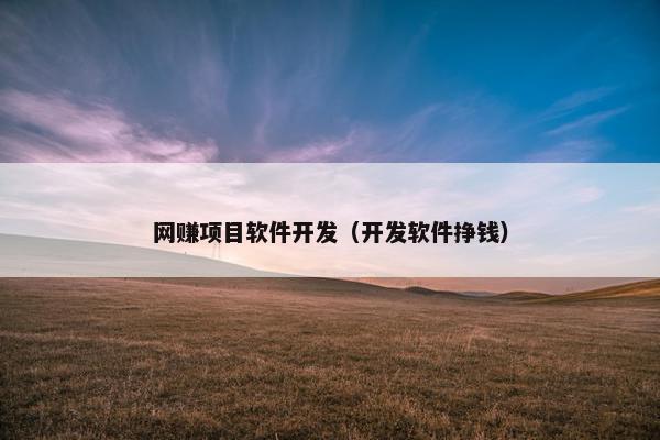 网赚项目软件开发（开发软件挣钱）